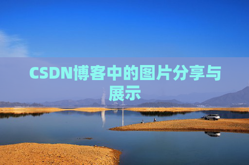 CSDN博客中的图片分享与展示